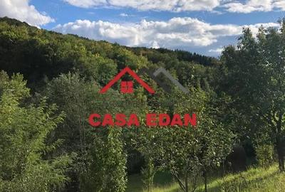 Teren de 9104 mp, în Brebu - 11