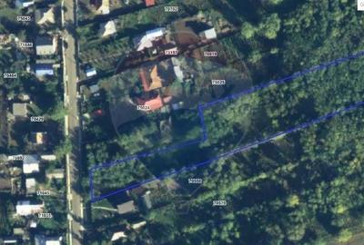 Teren de 6890 mp, în Crasna - 4