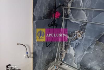 Vila P+1+pod- Fundeni- Dobroesti - 12