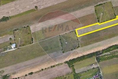 Teren agricol intravilan de 2000 mp, în Nord