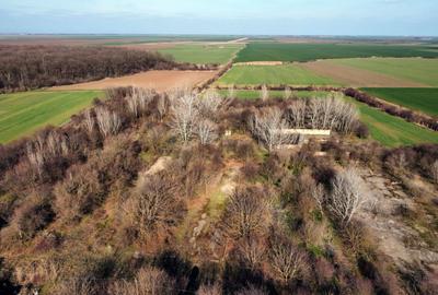 Teren Construcții intravilan de 70291 mp, în Micșunești-Moară - 13