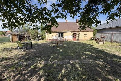 Casă cu 3 camere cu Teren 1230 Mp în Sălard - 7