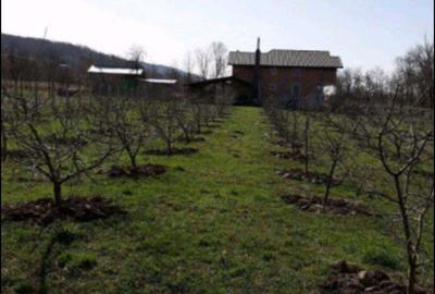 Teren de 1500 mp, în Băiculești - 9