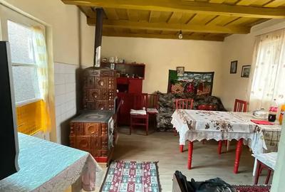 Casa de vanzare Cociuba Mare - 4