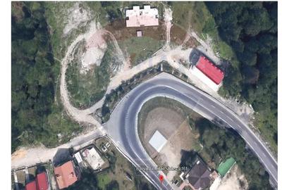 Oferta-vanzare teren intravilan 3,969mp Predeal-Strada Mihail Saulescu - 3