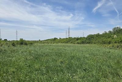 Teren de 10000 mp, în Ronaț - 2