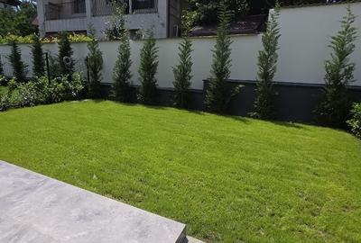 Duplex cu 4 camere cu Canalizare în Giulești - 31