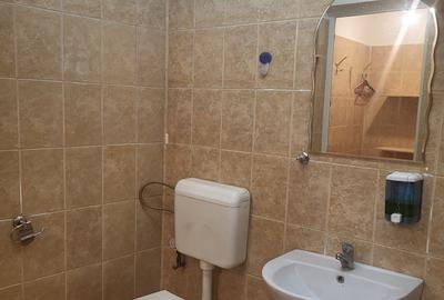 Spațiu Comercial Zona Berceni,  Apărătorii Patriei, AUTO NESTI - 5