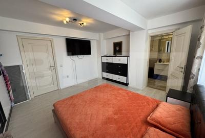 Apartament cu 2 camere semidecomandat, mobilat în Brazda lui Novac - 2