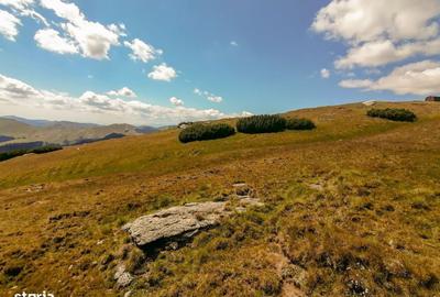 Spațiu comercial, în Sud - 1