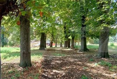 Casă cu 3 camere cu Teren 18449 Mp în Păingeni - 2