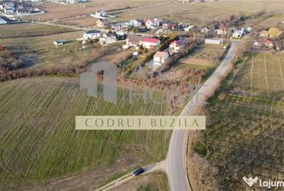 Teren în Chițorani - 1