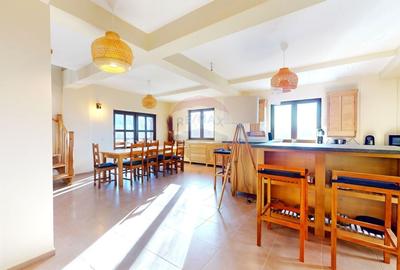 Casă individuală cu 7 camere cu Teren 1672 Mp în Sohodol - 6