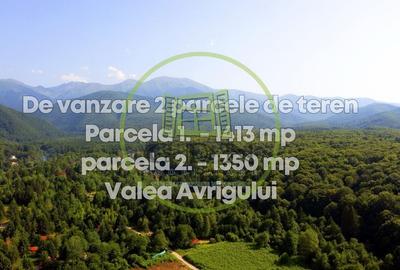 Teren agricol extravilan de 1413 mp, în Exterior Est - 3