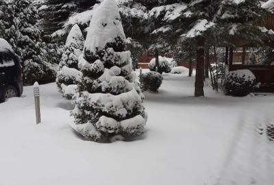 Casă cu 5 camere în Central - 14