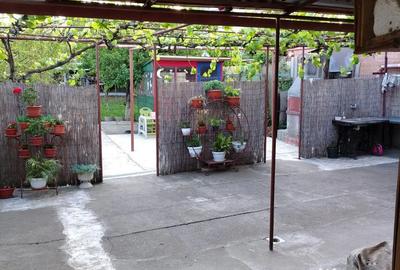 Apartament cu 5 camere decomandat în Aradul Nou - 14