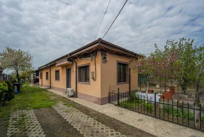 Casă cu 2 camere cu Teren 1557 Mp în Tântava - 12