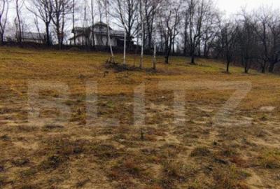 Oportunitate investitie teren intravilan Zarnesti Oportunitate investitie teren intravilan Zarnesti - 5