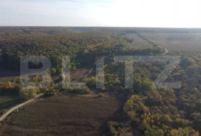 Casă cu 2 camere cu Teren 1000 Mp în Central - 6