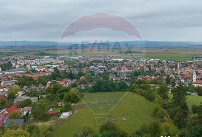 Teren de 3175 mp, în Poiana Angelescu - 11