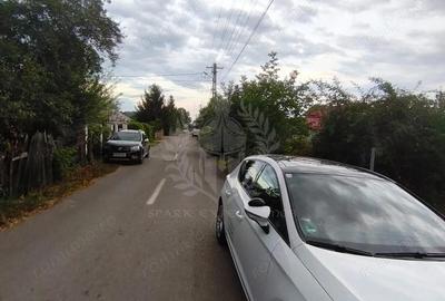 TEREN PAULESTI//17211 MP// INTRAVILAN - 7