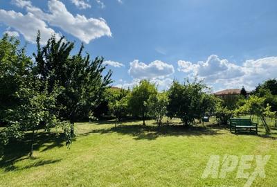 Casa individuala 4 camere | Teren 802mp | Curtea Domneasca - 3
