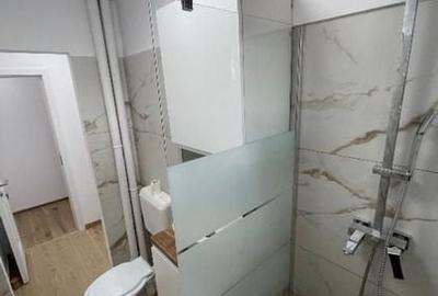 Apartament 3 camere, complet mobilat si utilat, Bld Timisoara - 13