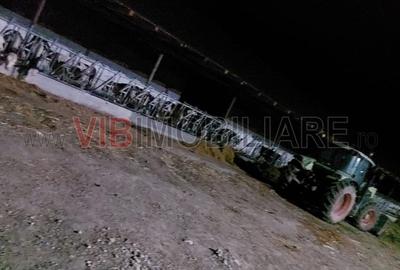 Ferma zootehnică funcțională, populată cu peste 200 capete bovine, aproape de Sâ - 9