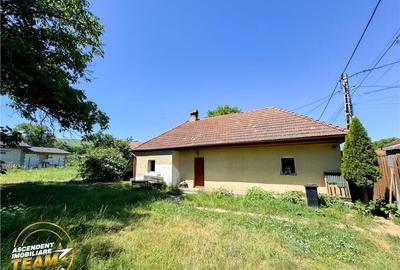 FILM Tur 3D! Casa cu gradina, pomi fructiferi, fantana, Zago