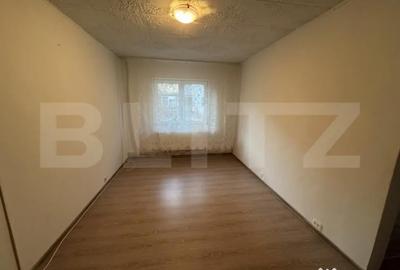 Apartament cu 2 camere semidecomandat în Bejan - 4