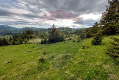 O fereastra catre cer teren de vis in Fundata, la ... - 12