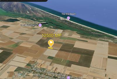 Teren agricol extravilan de 12500 mp, în Corbu - 1