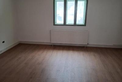 Casa, teren si padure de vanzare-40.000 mp, direct proprietar in Apuseni. - 9