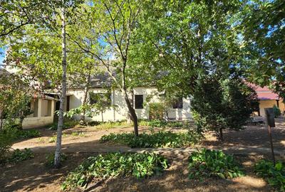 Cenad-Casa/Spatii Birouri- 150mp-teren 1065mp - 7