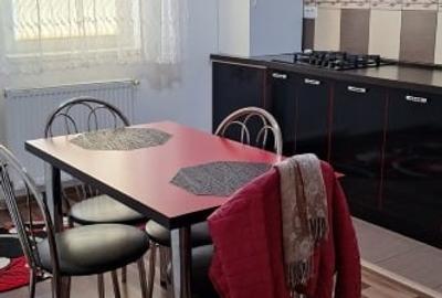 Apartament cu 2 camere decomandat, mobilat în Șagului - 3