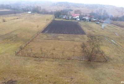 Teren de 3500 mp, în Ogretin - 2