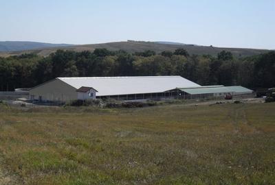 Ferma Zootehnica la standarde Europene - 13