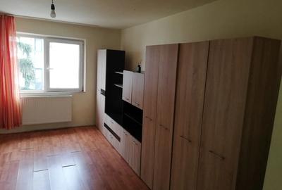 Garsonieră nedecomandată în Aradului - 5