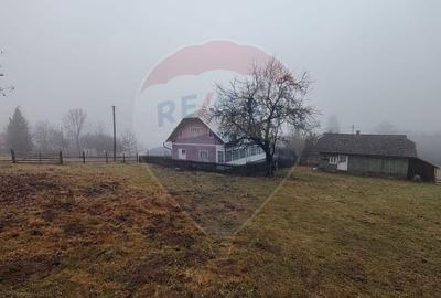 Teren INTRAVILAN 23.238m.p. Dorna-Arini / Cozanesti - 10