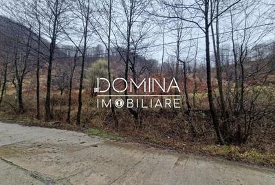 Teren de 4416 mp, în Peștișani