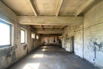 Hala industriala cu multiple facilitati de vanzare in localitatea Agris - 3
