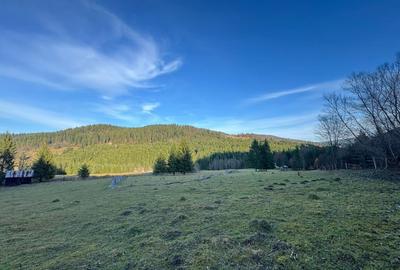 De vanzare 6850 mp pasune langa Manastirea Doroteia - Frasin /Plutonita - 14