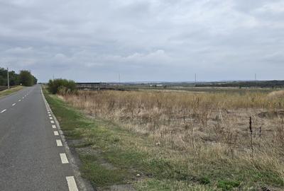 Teren Construcții intravilan de 3750 mp, în Brănești - 4