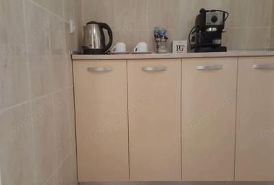 Garsonieră în Iosefin - 1