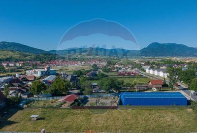 Teren Industrial, 3300 mp, / DJ 112D, Carpinis - 7