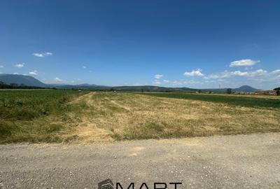 Teren de 5000 mp, în Râșnov Romacril - 6