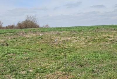 Teren agricol extravilan de 7000 mp, în Afumați - 5