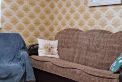 Vedere Dunare - Apartament 3 camere Calarasilor, mobilat uti Vedere Dunare - Apartament 3 camere Calarasilor, mobilat uti - 4