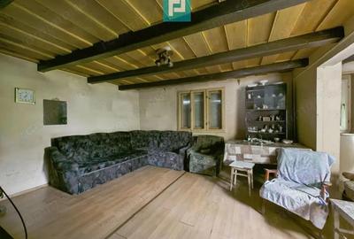 Casa traditionala cu anexe in ODVOS, comuna Conop. - 4