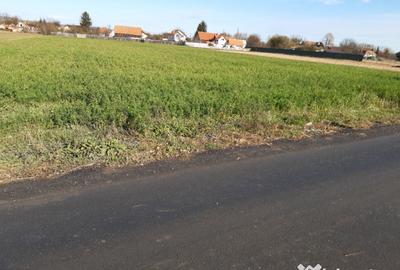 Teren de 2325 mp, în Triaj - 4